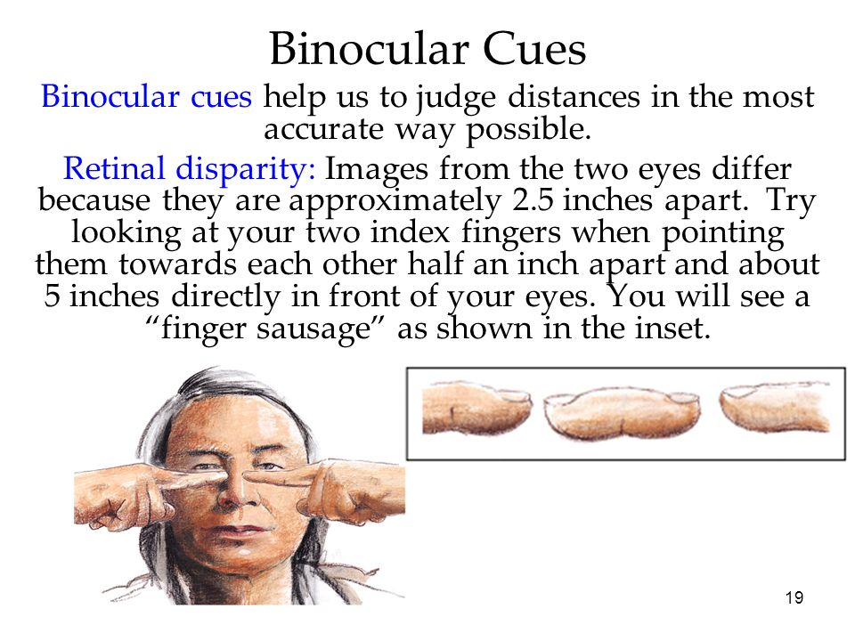 binocular cues examples