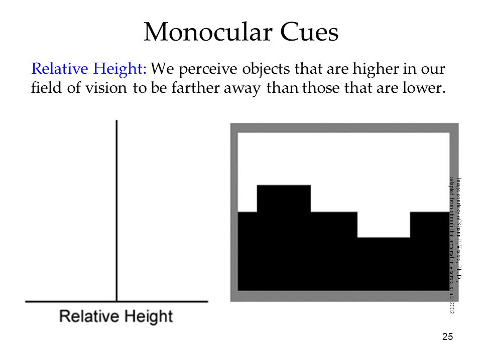 Relative Height Psychology Example
