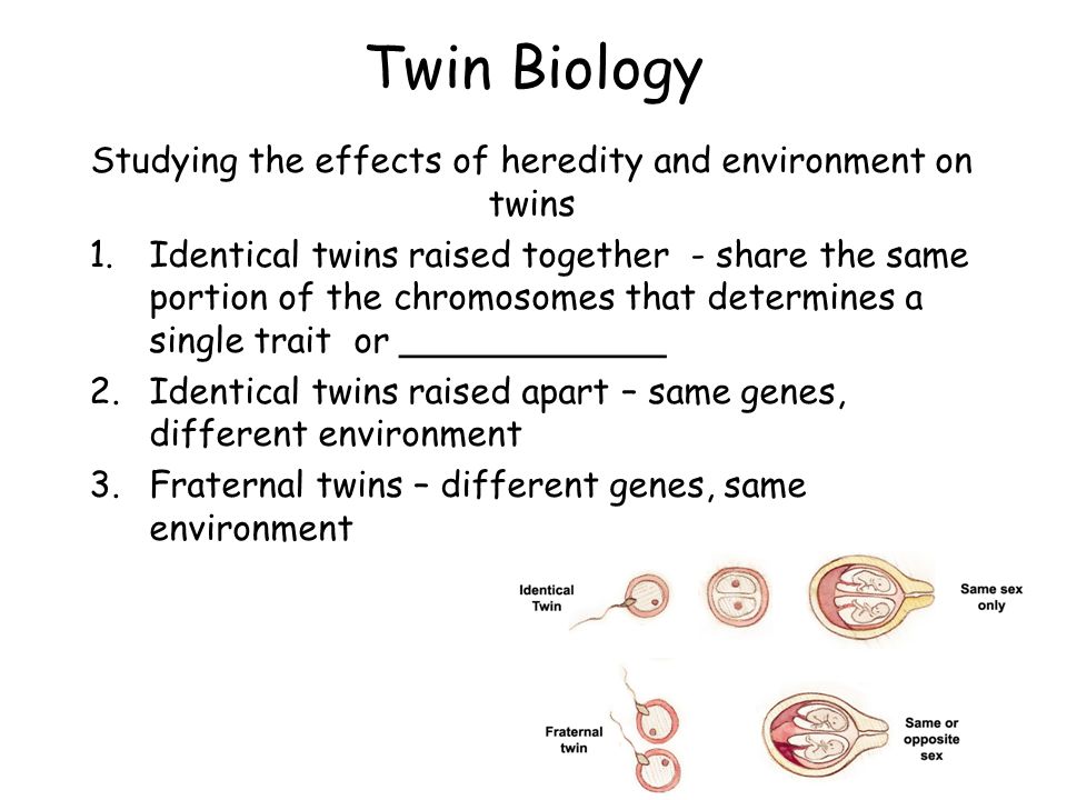 Studying the effects of heredity and environment on twins