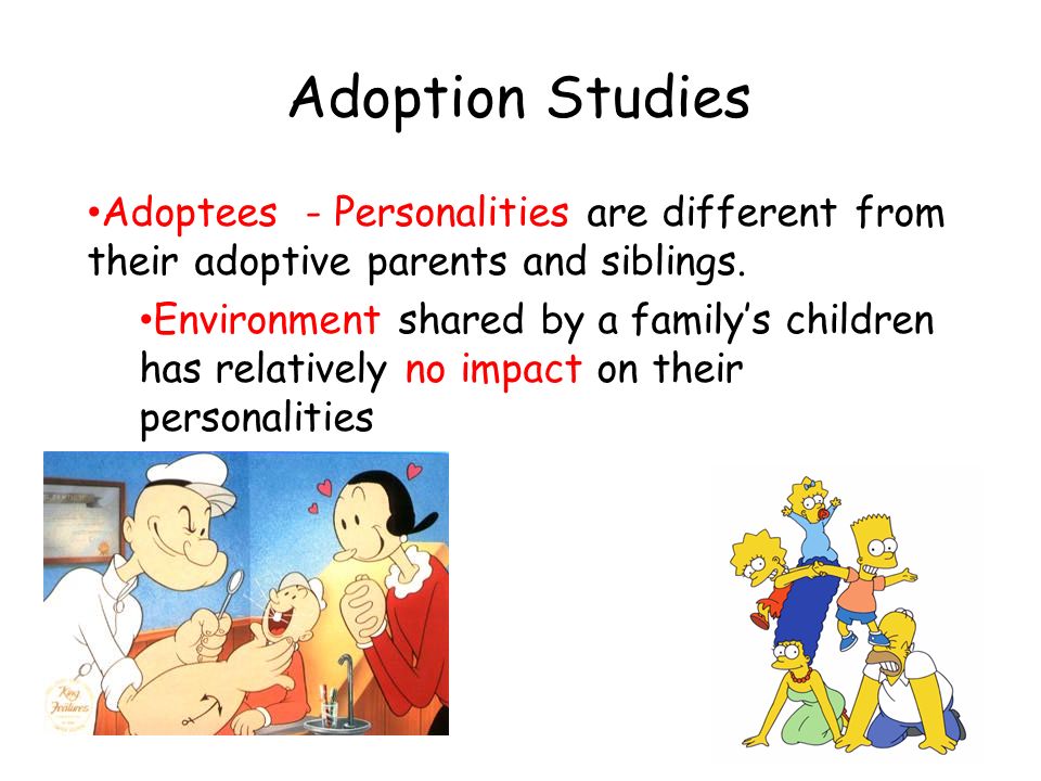 Adoption Studies Adoptees - Personalities are different from their adoptive parents and siblings.
