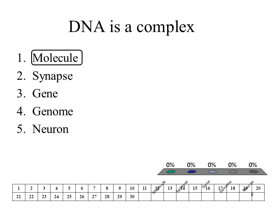 DNA is a complex Molecule Synapse Gene Genome Neuron