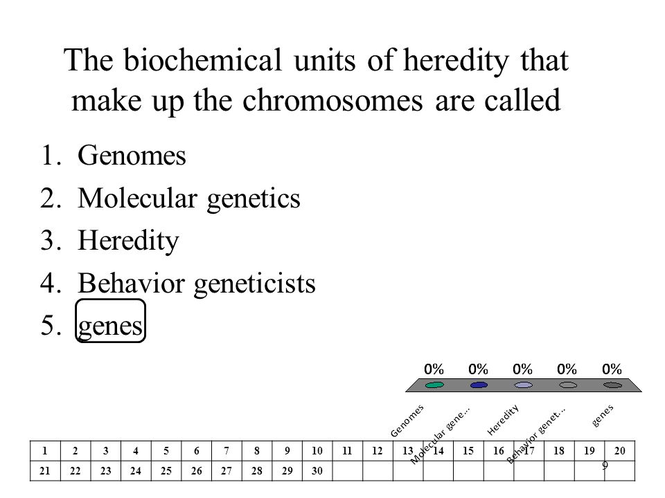 The biochemical units of heredity that make up the chromosomes are called