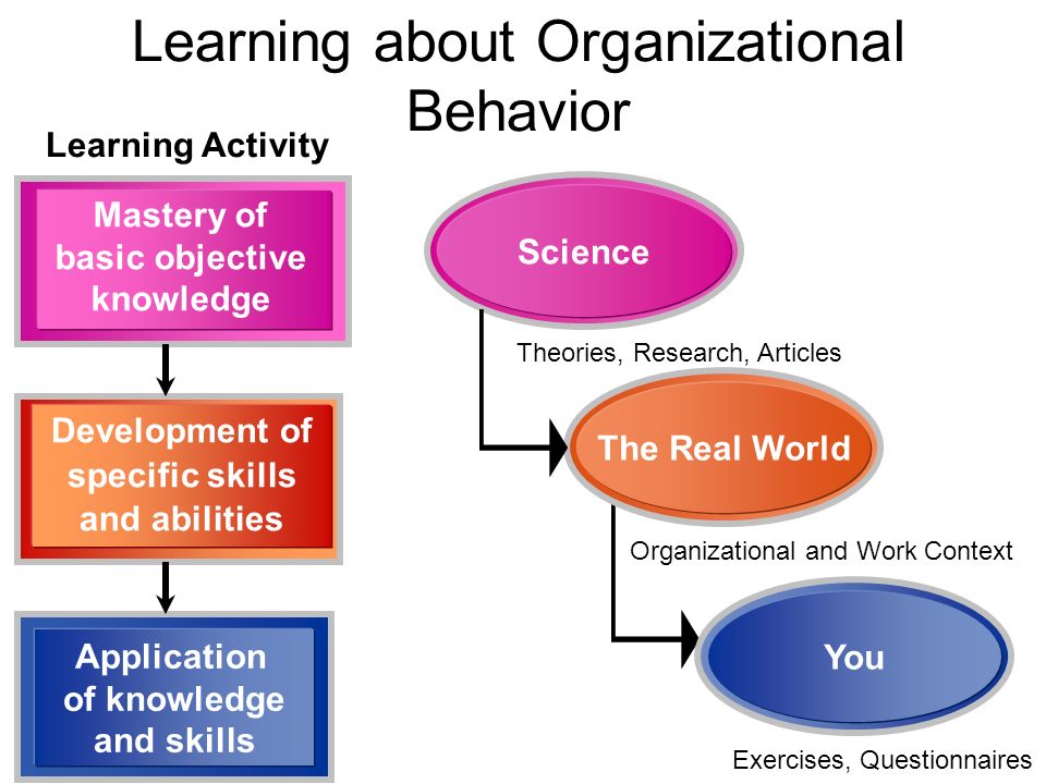 Basic in behavior miss circle. Organizational Behavior. Behavior in Organizations. Define Organizational Behavior. «Organizational Culture and Leadership» книга Шейна.