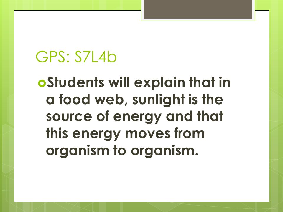 GPS: S7L4b Students will explain that in a food web, sunlight is the source of energy and that this energy moves from organism to organism.