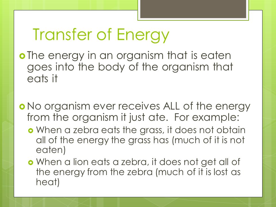 Transfer of Energy The energy in an organism that is eaten goes into the body of the organism that eats it.