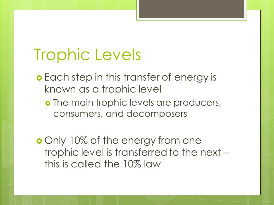 Trophic Levels Each step in this transfer of energy is known as a trophic level. The main trophic levels are producers, consumers, and decomposers.