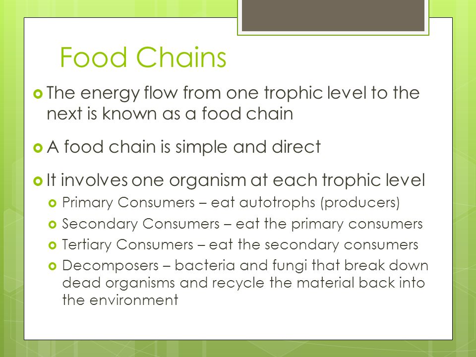 Food Chains The energy flow from one trophic level to the next is known as a food chain. A food chain is simple and direct.