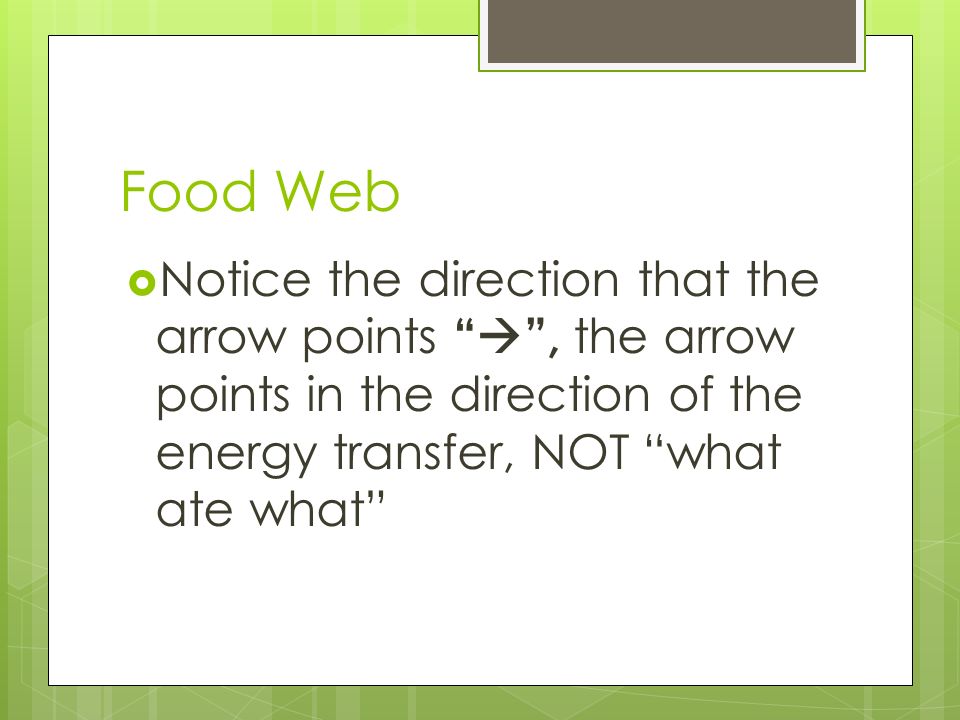 Food Web Notice the direction that the arrow points  , the arrow points in the direction of the energy transfer, NOT what ate what