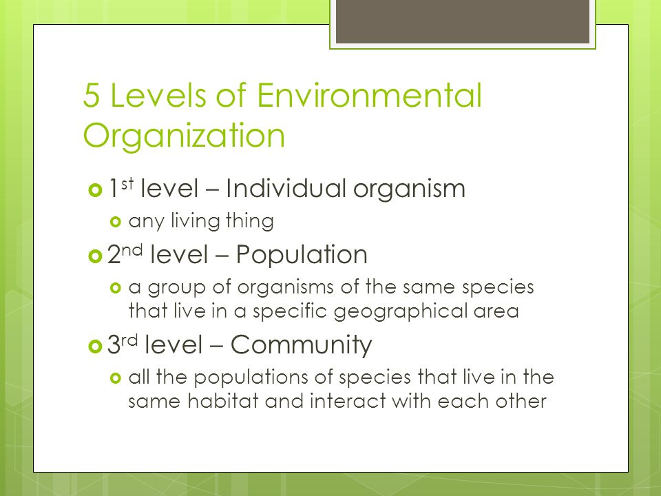 5 Levels of Environmental Organization