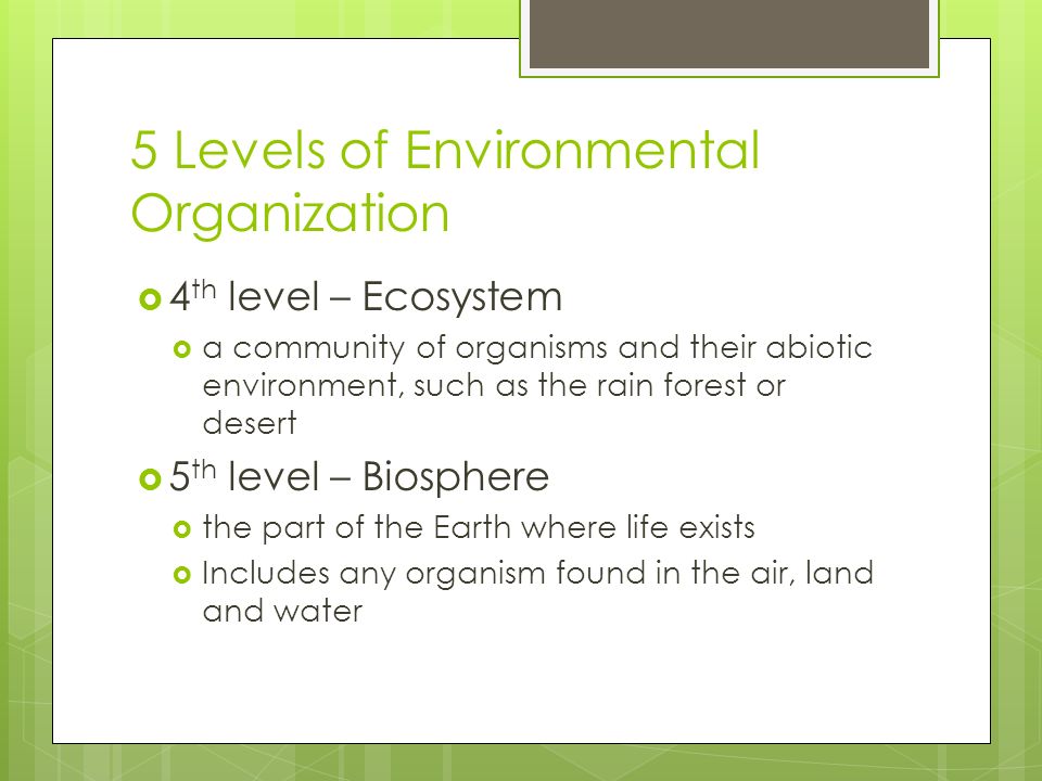 5 Levels of Environmental Organization