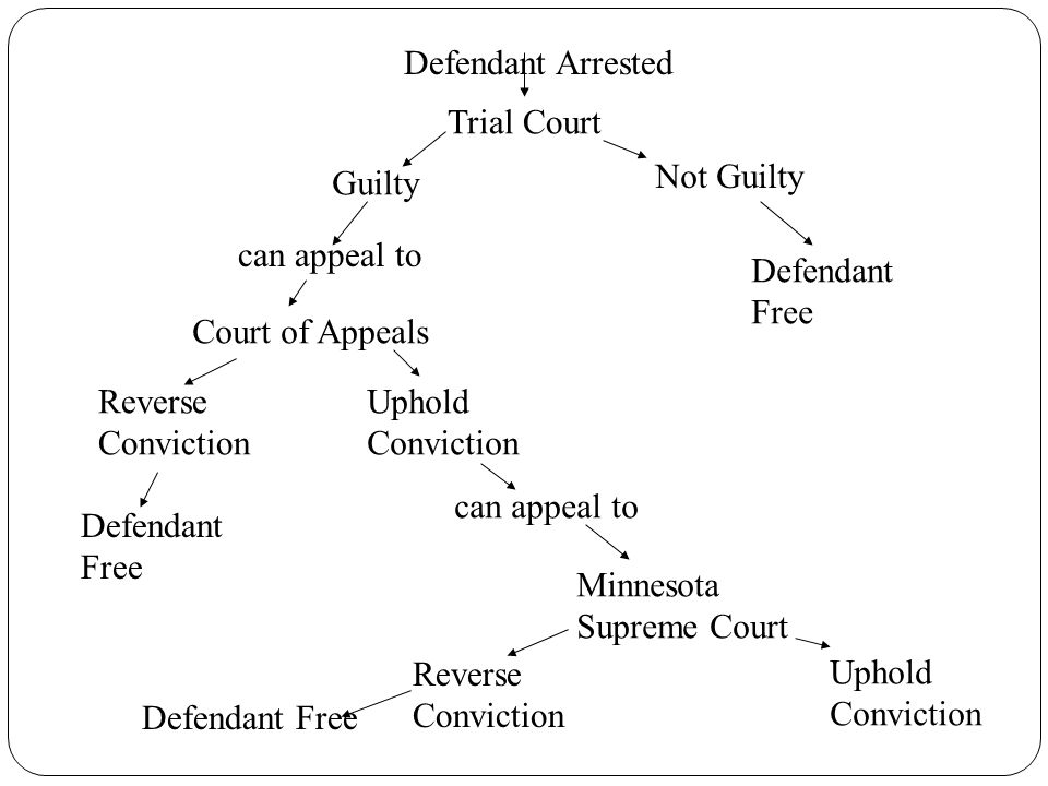 Defendant Arrested Trial Court. Not Guilty. Guilty. can appeal to. Defendant. Free. Court of Appeals.