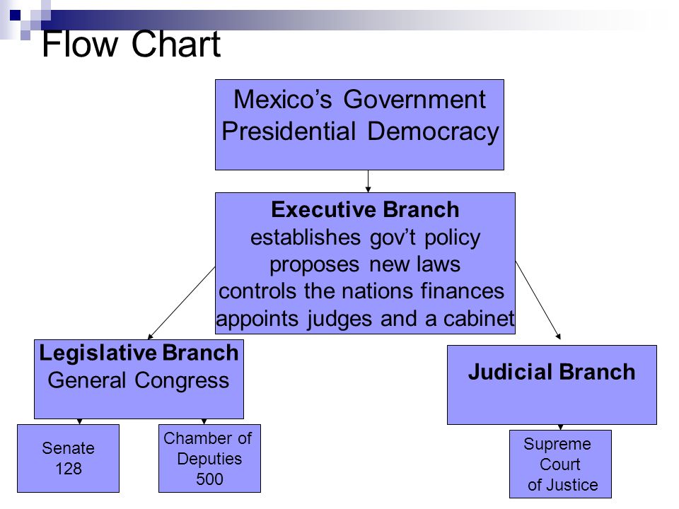 Presidential Government Diagram