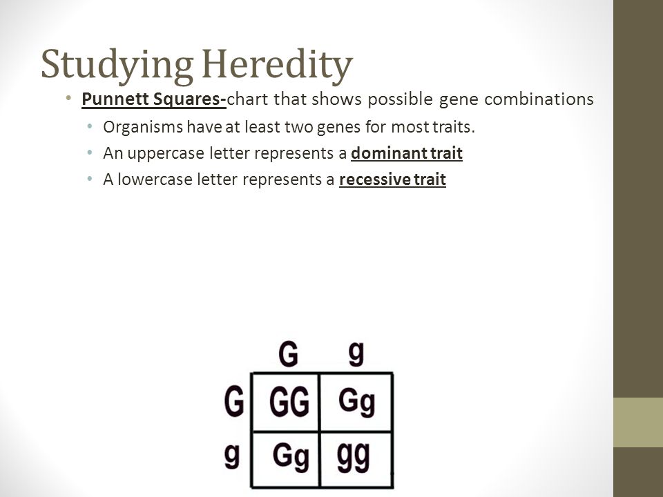Heredity Chart