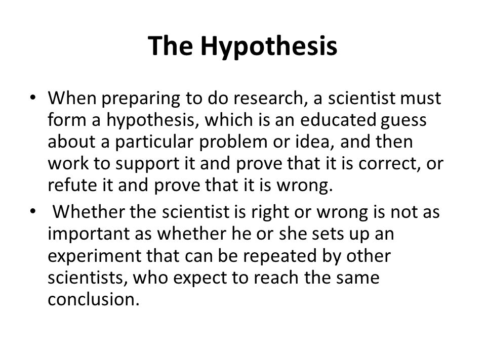The Hypothesis