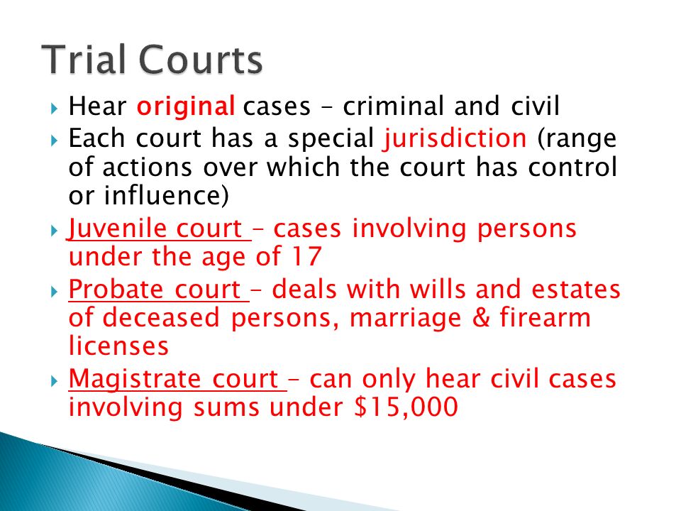 Trial Courts Hear original cases – criminal and civil