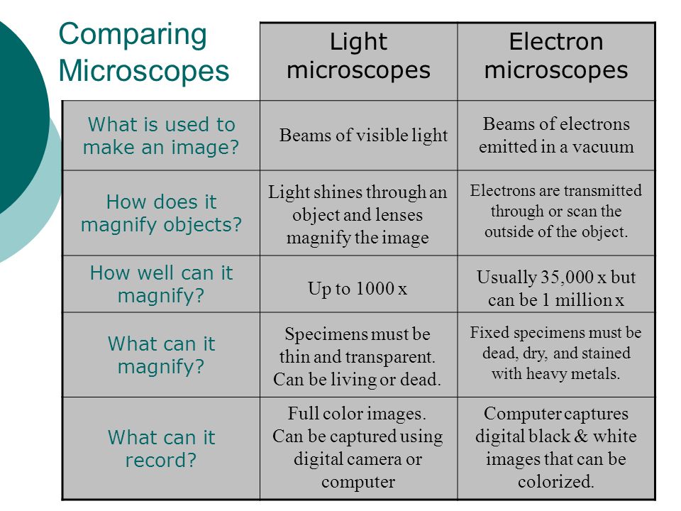 how are light microscopes and electron microscopes different