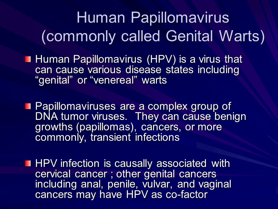 human papillomavirus hpv ppt