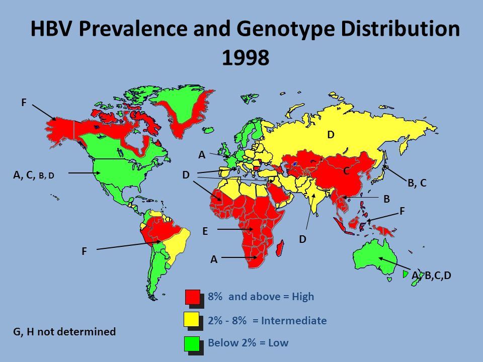 HBV Prevalence and Genotype Distribution 1998