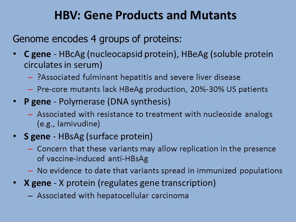 HBV: Gene Products and Mutants