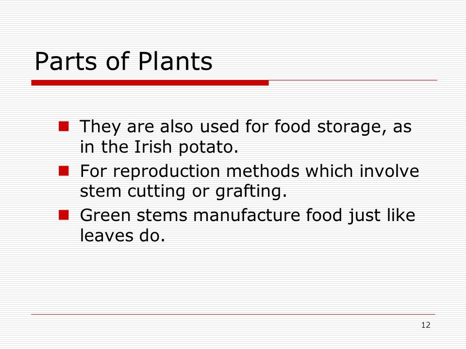 Parts of Plants They are also used for food storage, as in the Irish potato. For reproduction methods which involve stem cutting or grafting.