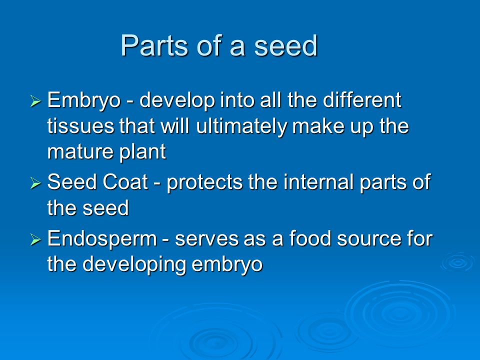 Parts of a seed Embryo - develop into all the different tissues that will ultimately make up the mature plant.