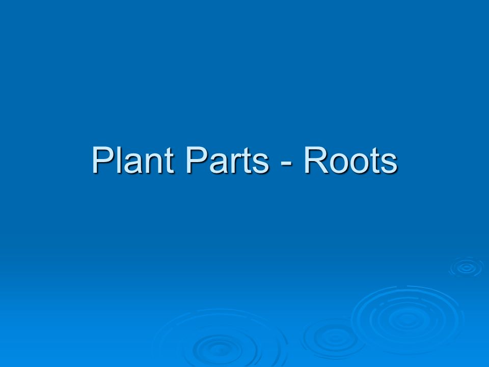 Plant Parts - Roots