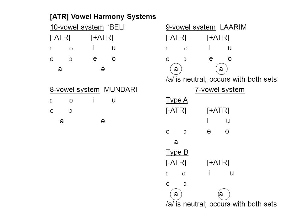 Yoruba Vowel Distribution In Word Positions Initial Middle Final I X X X ĩ X E X ɛ X X X A X X X A X ɔ X X ɔ X