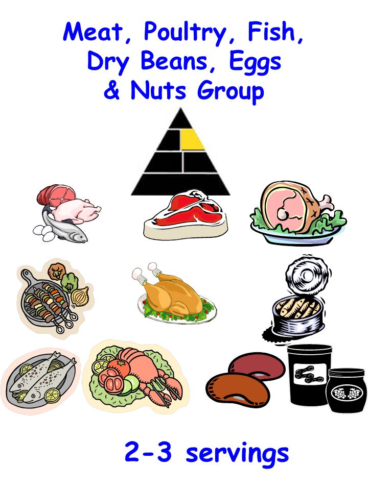 Meat, Poultry, Fish, Dry Beans, Eggs & Nuts Group