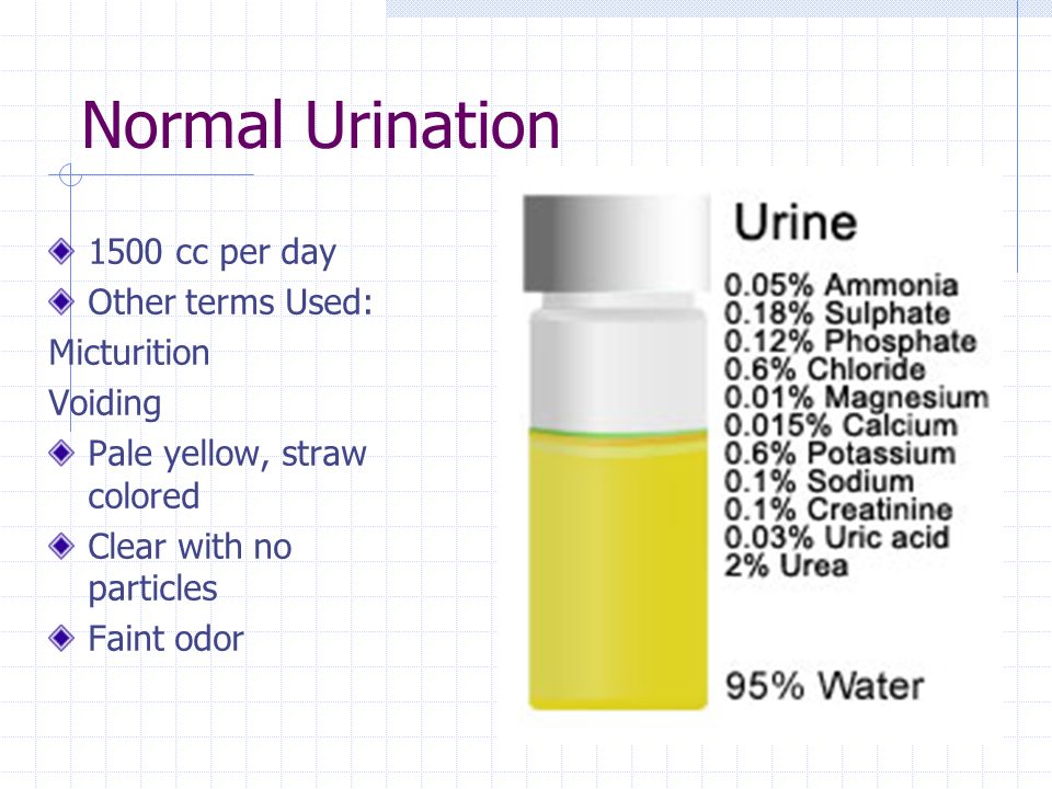 MNA Mosby's Long Term Care Assistant Chapter 22 Urinary Elimination - ppt  download