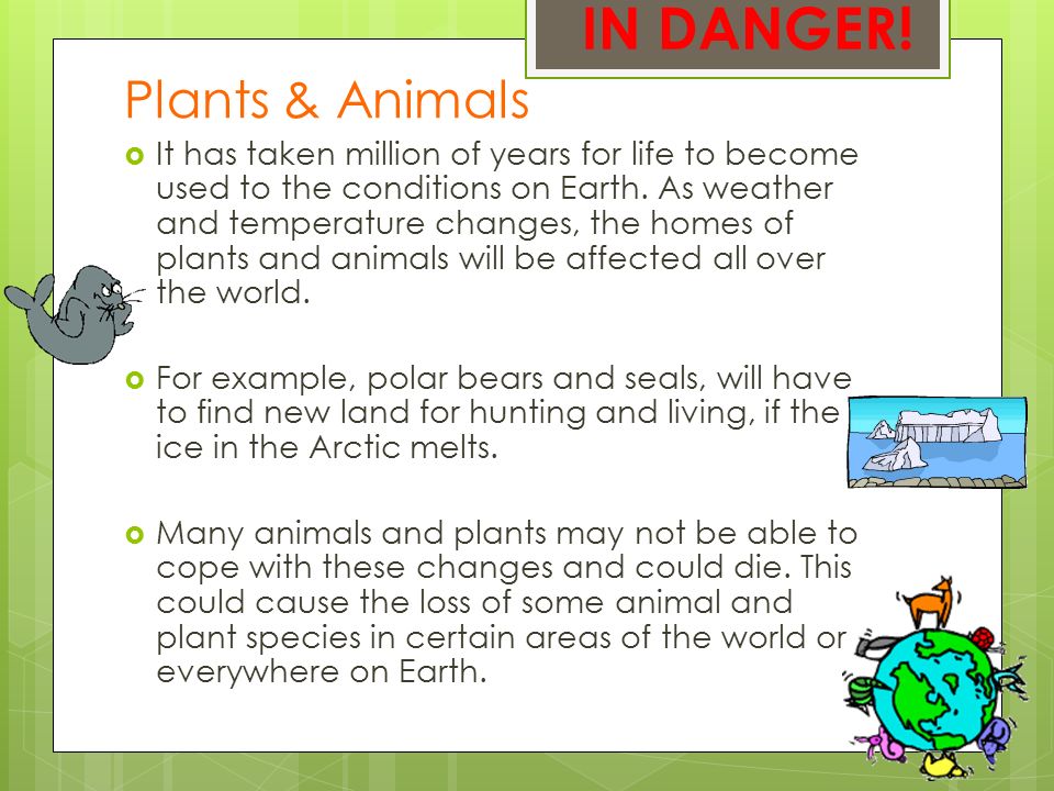 IN DANGER! Plants & Animals