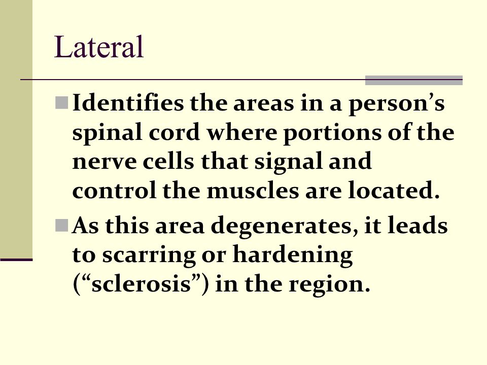 Lateral Identifies the areas in a person’s spinal cord where portions of the nerve cells that signal and control the muscles are located.