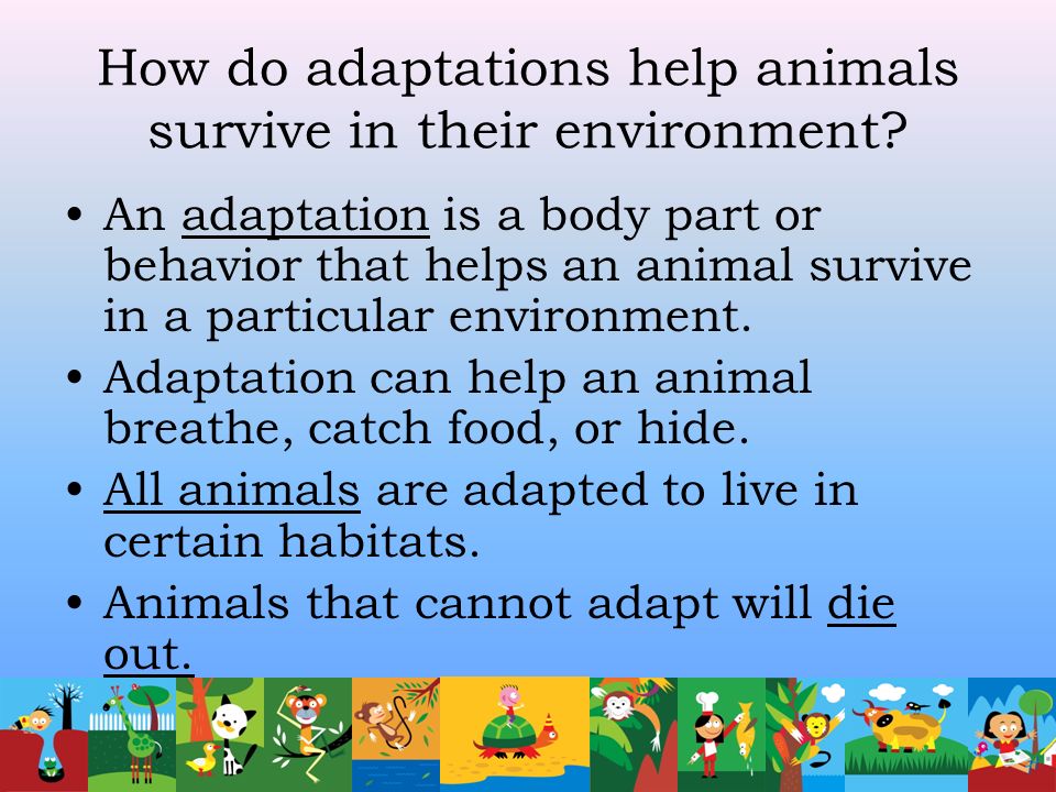 Adaptations. - ppt video online download
