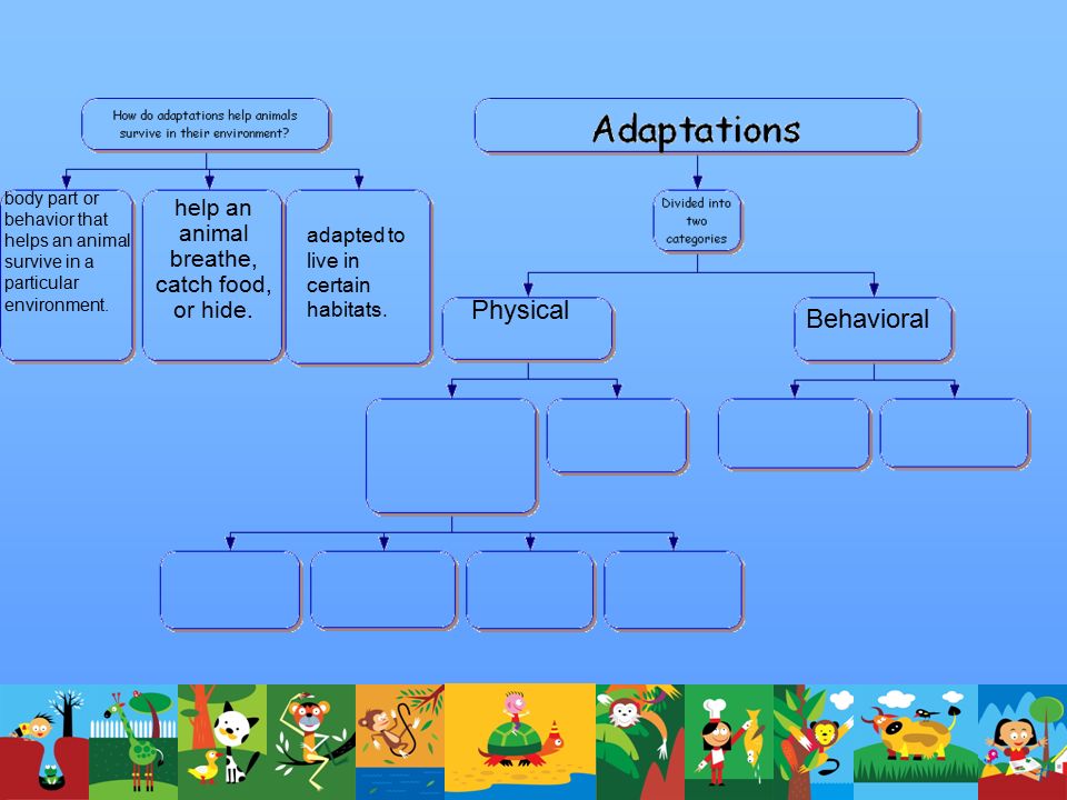 Animal Adaptations. - ppt video online download