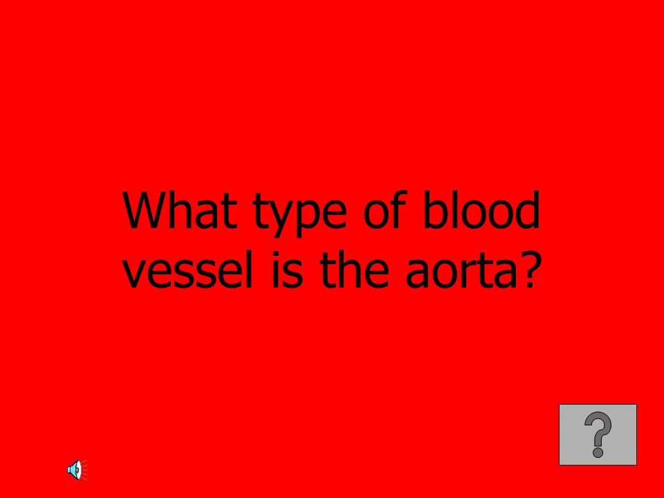 What type of blood vessel is the aorta