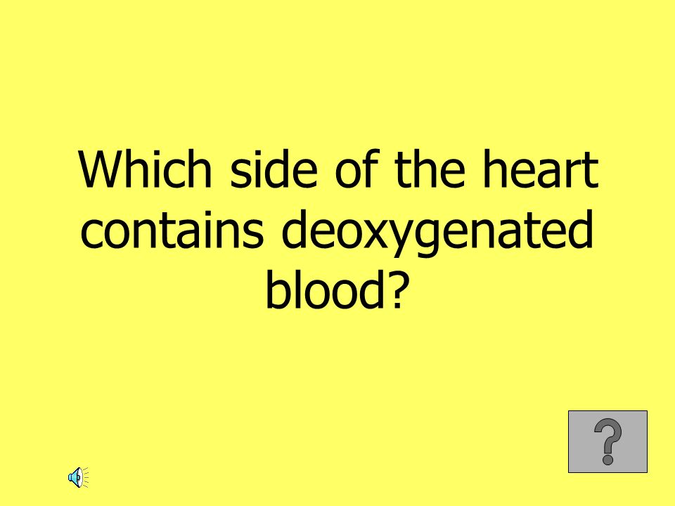 Which side of the heart contains deoxygenated blood
