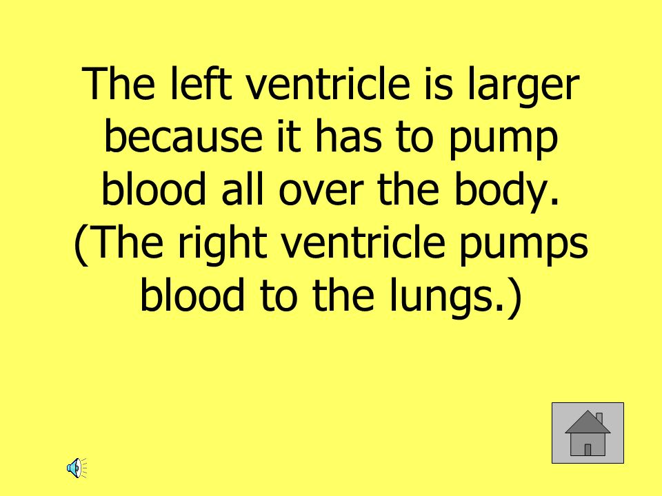 The left ventricle is larger because it has to pump blood all over the body.
