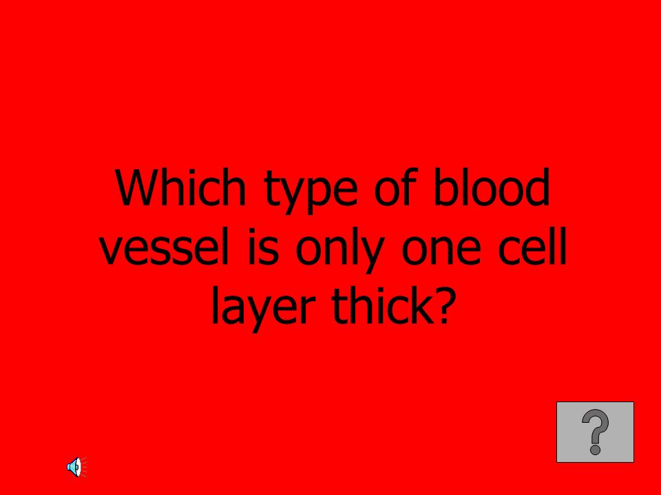 Which type of blood vessel is only one cell layer thick