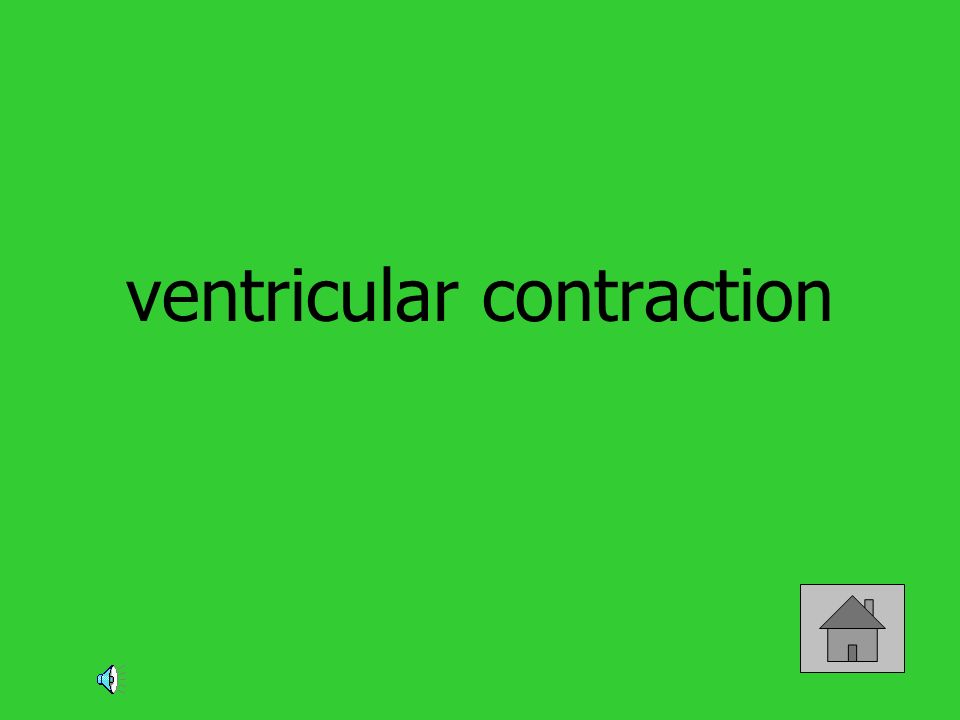 ventricular contraction