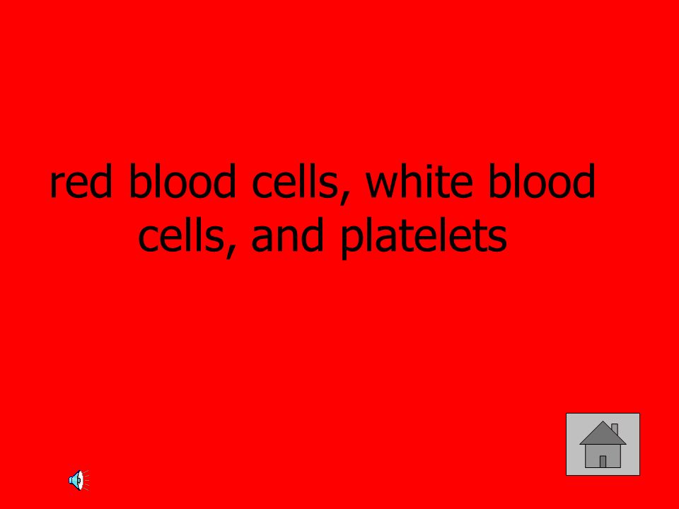 red blood cells, white blood cells, and platelets