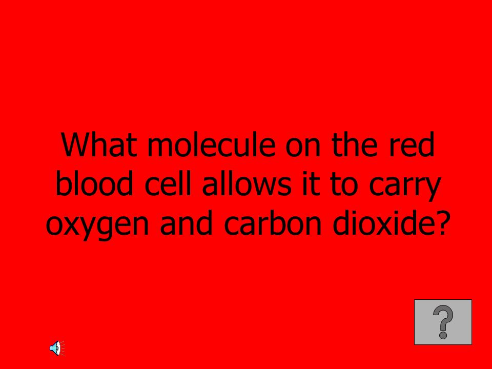 What molecule on the red blood cell allows it to carry oxygen and carbon dioxide