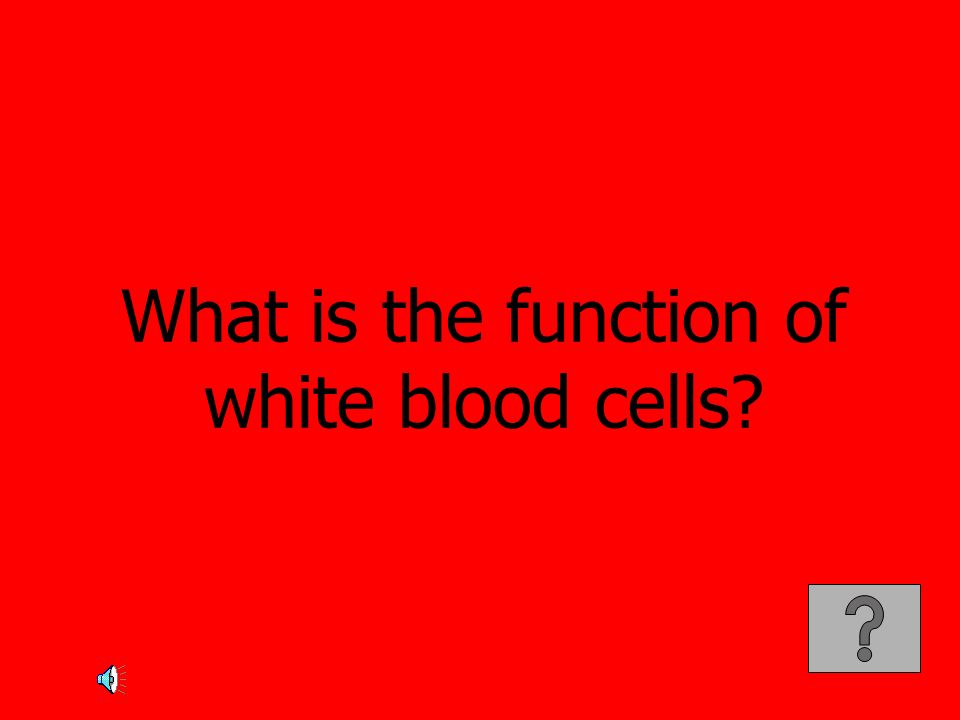 What is the function of white blood cells
