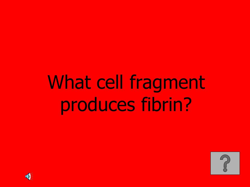 What cell fragment produces fibrin