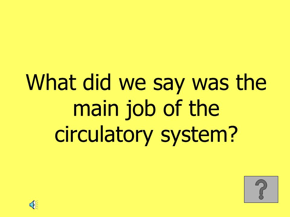 What did we say was the main job of the circulatory system