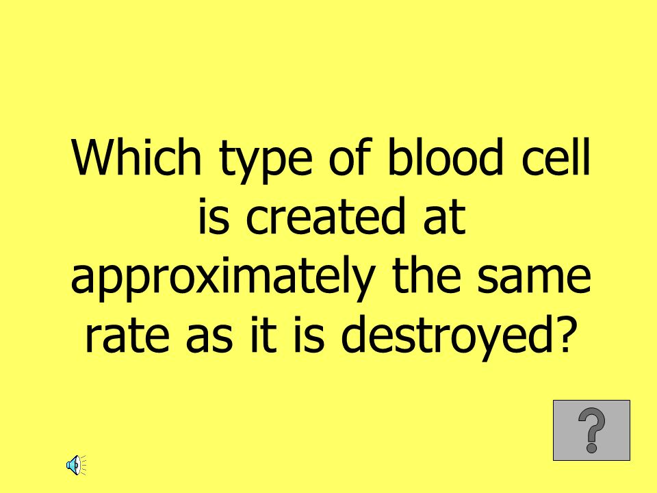 Which type of blood cell is created at approximately the same rate as it is destroyed