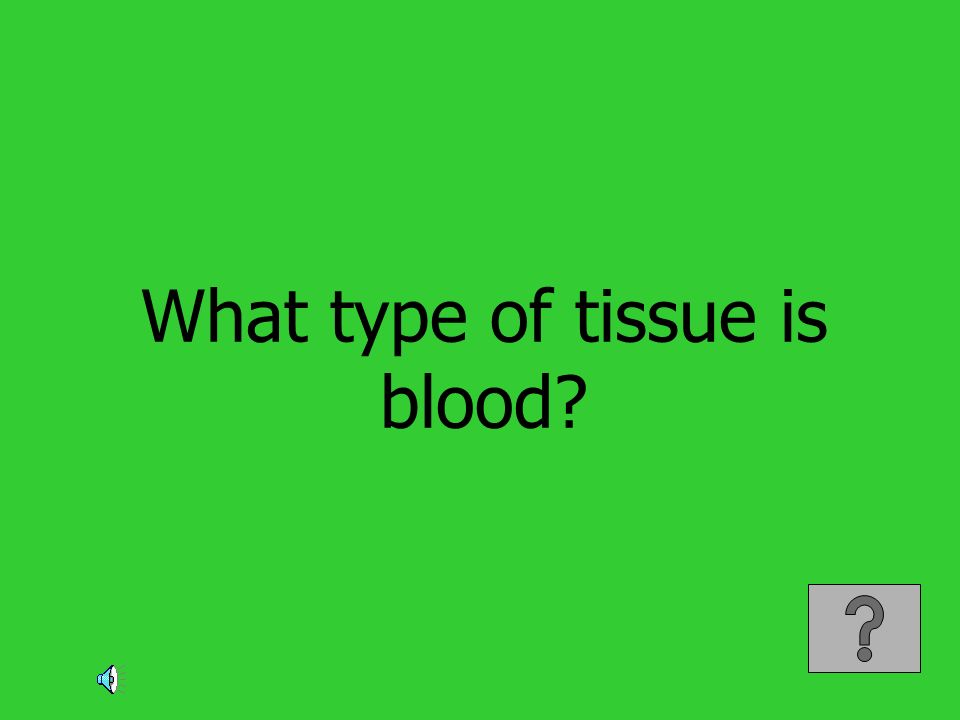 What type of tissue is blood