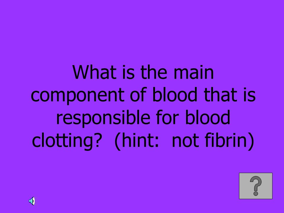 What is the main component of blood that is responsible for blood clotting (hint: not fibrin)
