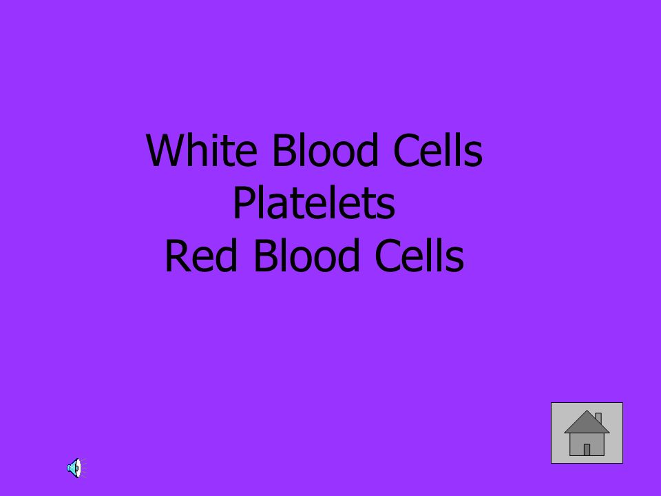 White Blood Cells Platelets Red Blood Cells
