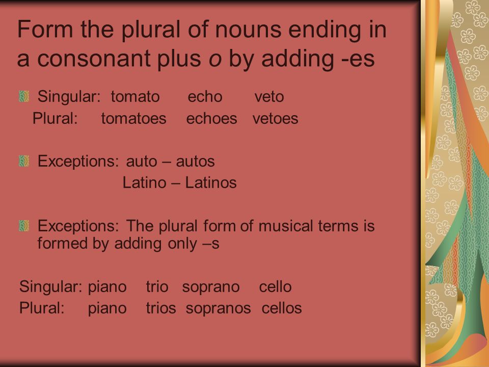 Form the plural of nouns ending in a consonant plus o by adding -es