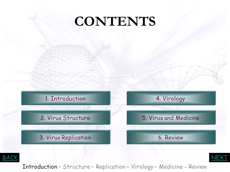 Introduction – Structure – Replication – Virology – Medicine - Review