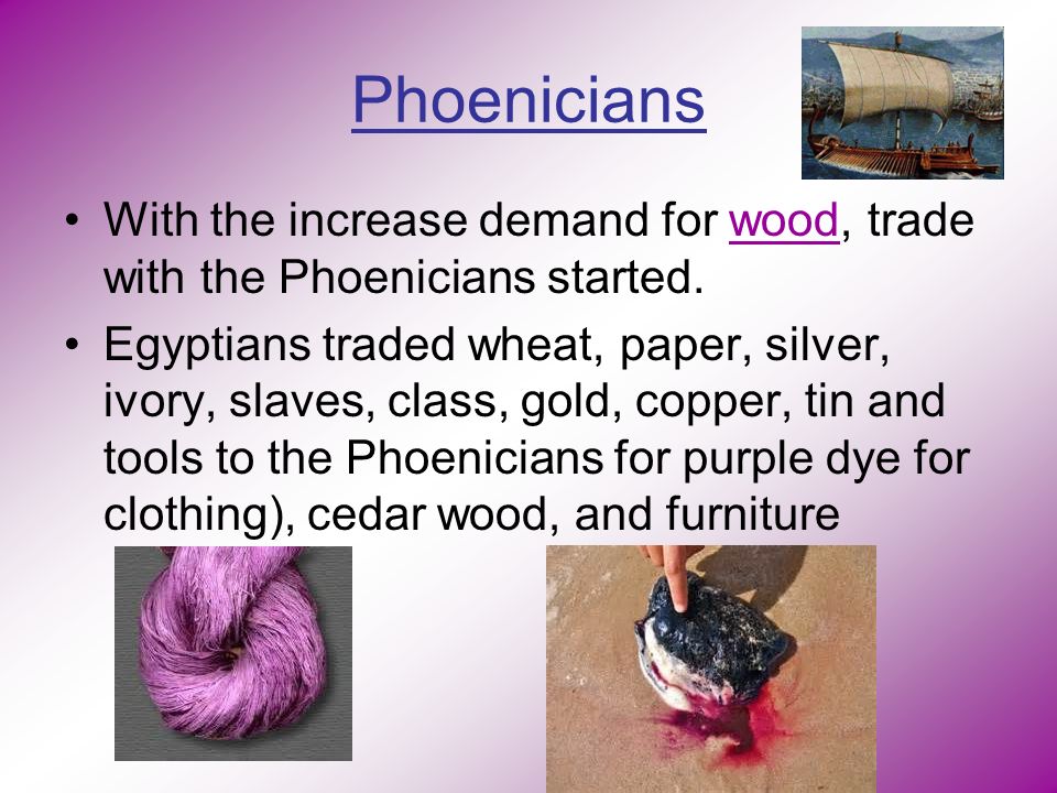 Phoenicians With the increase demand for wood, trade with the Phoenicians started.